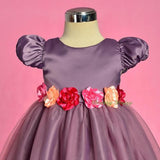 FG327 Baby Girls' Tulle Flower Girl Dresses Pageant Party Birthday Dress Size 9 Months - 4