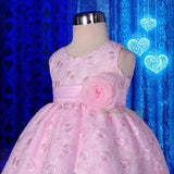 FG272 Embroideries Rosette Floral Pattern Tulle Flower Girl Dress Wedding Size 9 Months - 5
