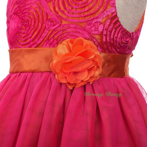 FG336 Girls' Soutache Tulle Special Pageant Party Birthday Occasion Dress Size 18 Months - 6X