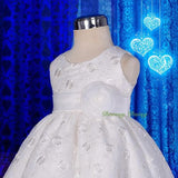 FG272 Embroideries Rosette Floral Pattern Tulle Flower Girl Dress Wedding Size 9 Months - 5