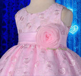 FG272 Embroideries Rosette Floral Pattern Tulle Flower Girl Dress Wedding Size 9 Months - 5