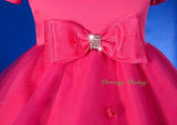 FG277B Hot Pink Little Roses Glittering Skirt Wedding Flower Girl Dress Size 2-9