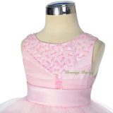 FG292 Baby Girls Beads Tulle Tiered flower Girl  Pageant Birthday Dresses Size 6 Months - 3