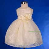 FG276 Baby Girls' Floral Lace Flower Girl Dresses Pageant Birthday Dress Size 9 Months - 4
