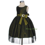 FG279 Baby-Girls' Shimmery Pageant Party Dresses Wedding Birthday Dress Size 9 Months - 3
