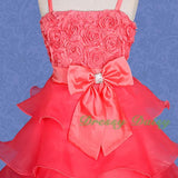 FG136 Girls Tiered Wedding Flower Girl Party Dresses Pageant Dress Size 2-9