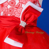 FG213 Girls' Lace Tulle Flower Girl Dresses Pageant Party Occasion Dress Size 18 Months - 8