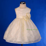 FG276 Baby Girls' Floral Lace Flower Girl Dresses Pageant Birthday Dress Size 9 Months - 4