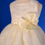 FG276 Baby Girls' Floral Lace Flower Girl Dresses Pageant Birthday Dress Size 9 Months - 4