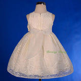 FG276 Baby Girls' Floral Lace Flower Girl Dresses Pageant Birthday Dress Size 9 Months - 4