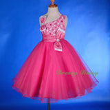 FG213 Girls' Lace Tulle Flower Girl Dresses Pageant Party Occasion Dress Size 18 Months - 8