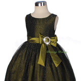 FG279 Baby-Girls' Shimmery Pageant Party Dresses Wedding Birthday Dress Size 9 Months - 3