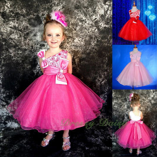 FG213 Girls' Lace Tulle Flower Girl Dresses Pageant Party Occasion Dress Size 18 Months - 8